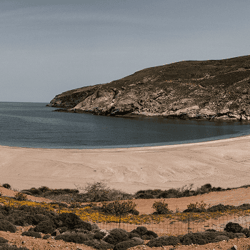 Beach view of Andros Island in the Cyclades, Greece, with sandy shores and rocky cliffs.