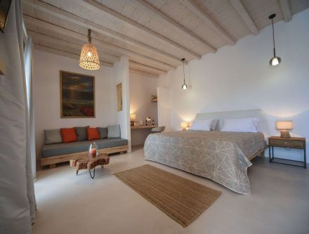 Executive Suite with plunge pool, stylish interior, and cozy seating area at Mr and Mrs White Hotels.